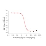 Cell Viability Assay - Recombinant Human Fas Ligand Protein (N-terminal His Tag) (A330613) - Antibodies.com