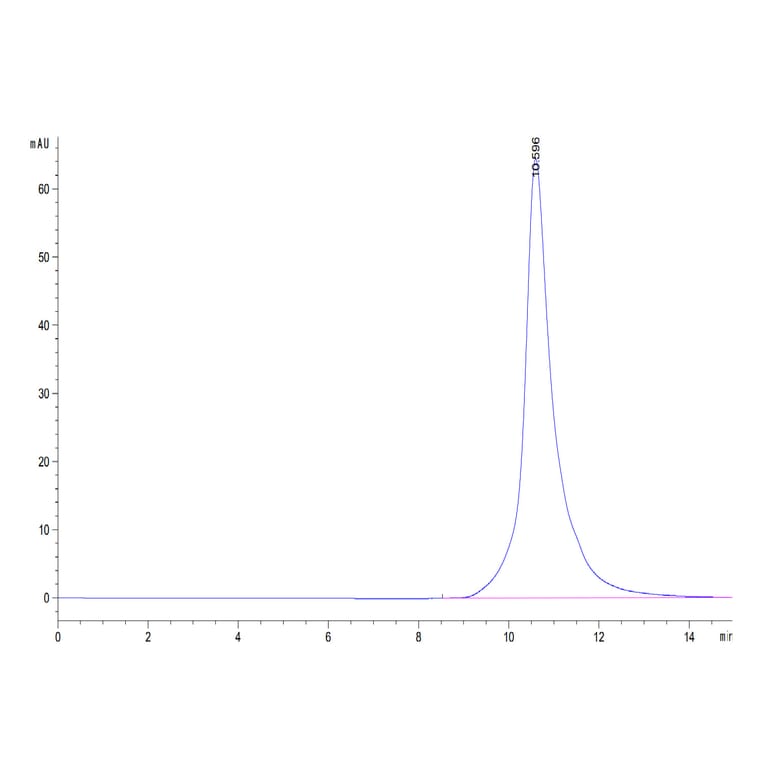 SEC-HPLC - Recombinant Human FcRn Protein (C-terminal His Tag) (A330616) - Antibodies.com