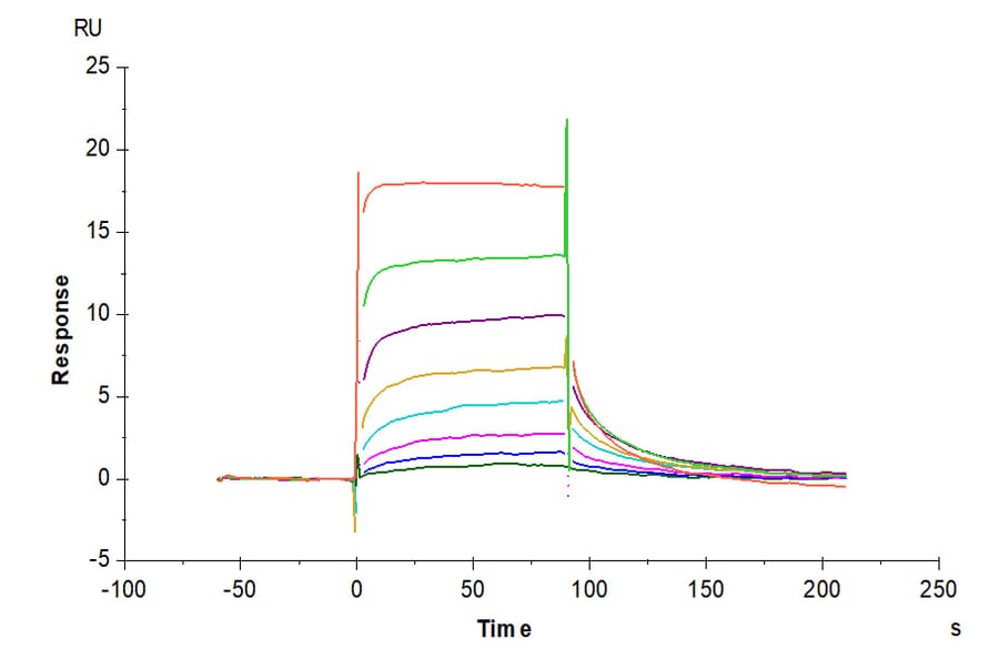 SPR Assay - Recombinant Human FcRn Protein (C-terminal His Tag) (A330616) - Antibodies.com