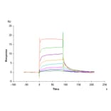 SPR Assay - Recombinant Human FcRn Protein (C-terminal His Tag) (A330616) - Antibodies.com