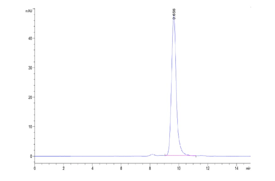 SEC-HPLC - Recombinant Human FcRn + beta 2 Microglobulin Protein (Biotin) (C-terminal His and Avi Tag) (A330618) - Antibodies.com