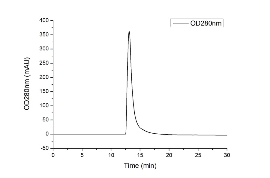 SEC-HPLC - Recombinant Human FGF1 Protein (C-terminal His Tag) (A330621) - Antibodies.com
