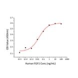 Proliferation Assay - Recombinant Human FGF1 Protein (C-terminal His Tag) (A330621) - Antibodies.com