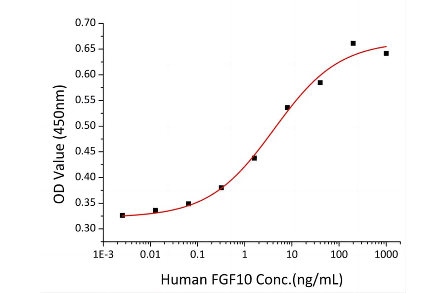 Proliferation Assay - Recombinant Human FGF10 Protein (A330622) - Antibodies.com