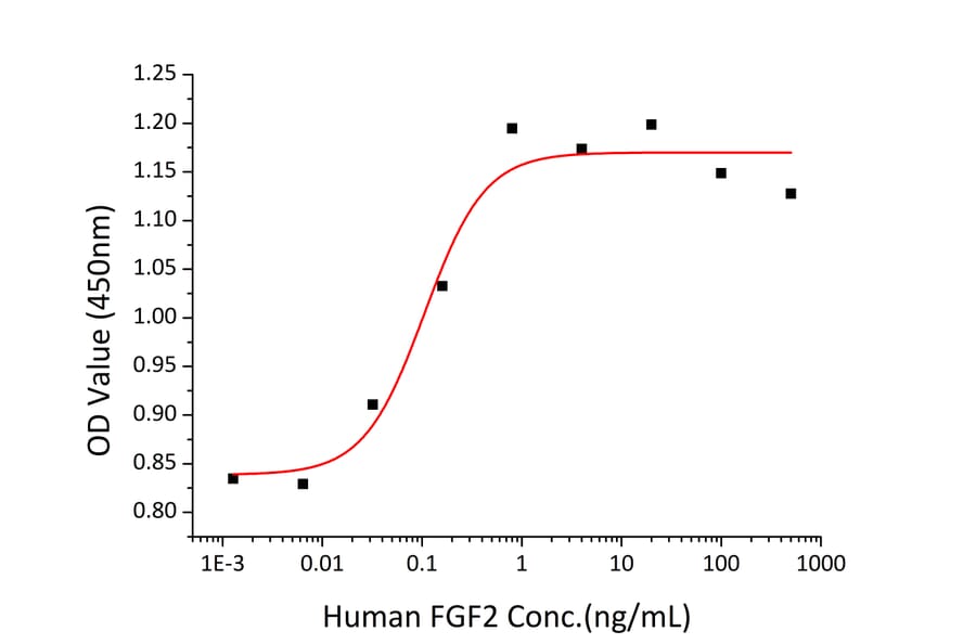 Proliferation Assay - Recombinant Human FGF2 Protein (A330626) - Antibodies.com
