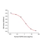 Cell Viability Assay - Recombinant Human FGFR1 Protein (C-terminal Human Fc and His Tag) (A330634) - Antibodies.com