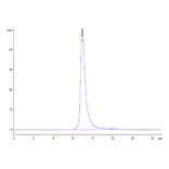 SEC-HPLC - Recombinant Human FGFR2 Protein (C-terminal His Tag) (A330637) - Antibodies.com