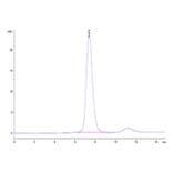 SEC-HPLC - Recombinant Human FGFR2 Protein (C-terminal His Tag) (A330638) - Antibodies.com