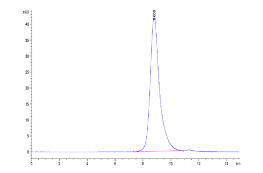 SEC-HPLC - Recombinant Human FGFR2 Protein (Biotin) (C-terminal His and Avi Tag) (A330639) - Antibodies.com
