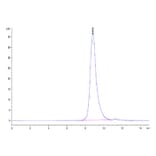 SEC-HPLC - Recombinant Human FGFR2 Protein (Biotin) (C-terminal His and Avi Tag) (A330639) - Antibodies.com