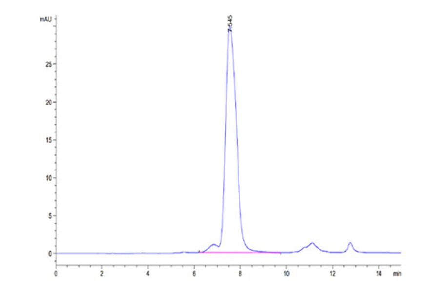 SEC-HPLC - Recombinant Human FGFR2 Protein (C-terminal His Tag) (A330640) - Antibodies.com