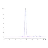 SEC-HPLC - Recombinant Human FGFR2 Protein (C-terminal His Tag) (A330640) - Antibodies.com