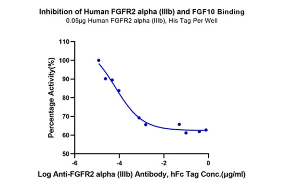 Functional Assay - Recombinant Human FGFR2 Protein (C-terminal His Tag) (A330640) - Antibodies.com
