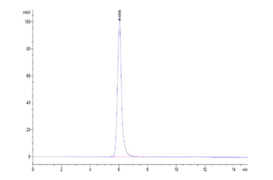 SEC-HPLC - Recombinant Human FGFR2 Protein (C-terminal Human Fc Tag) (A330641) - Antibodies.com