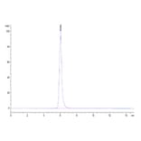 SEC-HPLC - Recombinant Human FGFR2 Protein (C-terminal Human Fc Tag) (A330641) - Antibodies.com