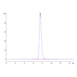 SEC-HPLC - Recombinant Human FGFR2 Protein (C-terminal Human Fc Tag) (A330642) - Antibodies.com