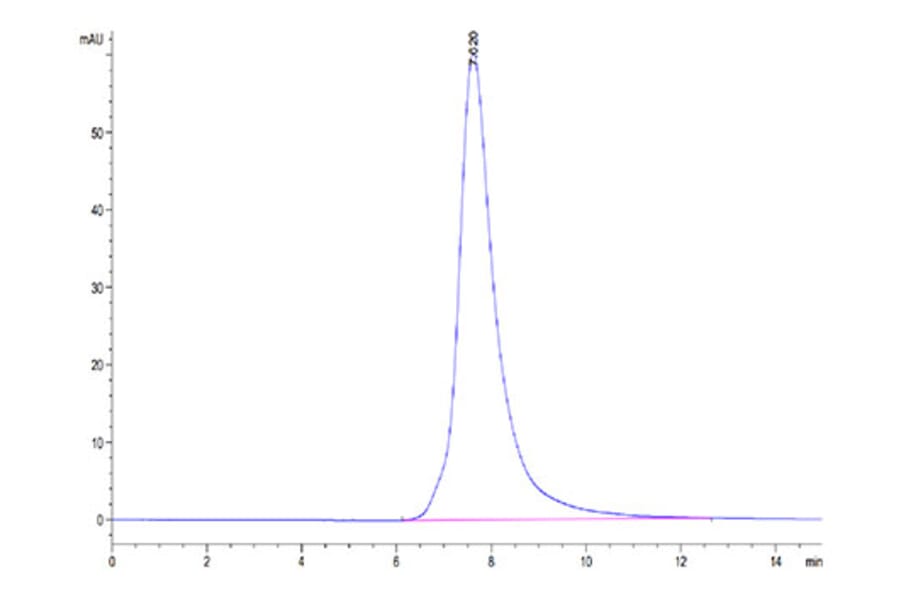 SEC-HPLC - Recombinant Human FGFR2 Protein (C-terminal His Tag) (A330643) - Antibodies.com