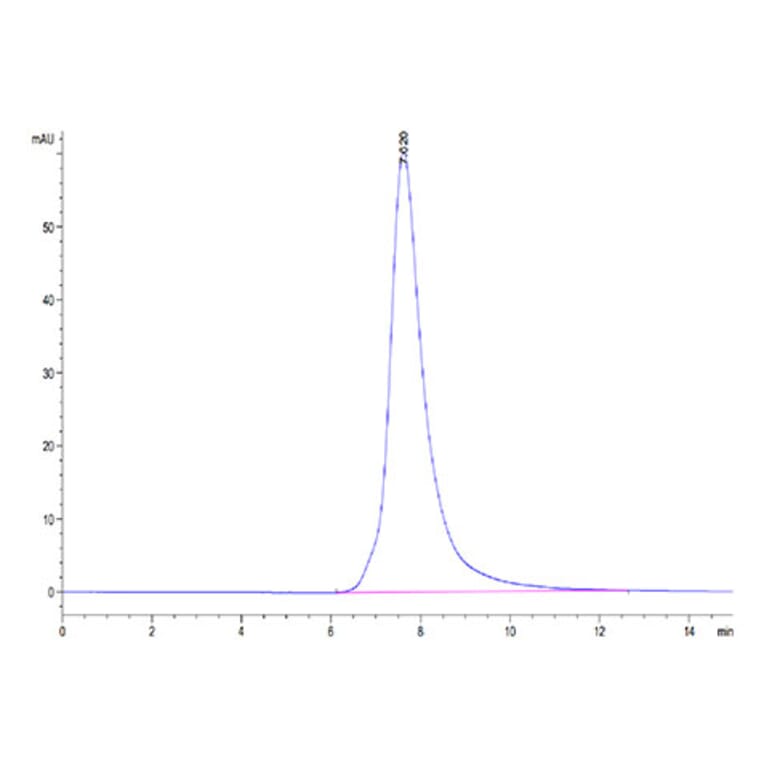 SEC-HPLC - Recombinant Human FGFR2 Protein (C-terminal His Tag) (A330643) - Antibodies.com