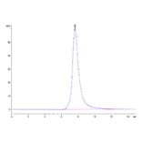 SEC-HPLC - Recombinant Human FGFR2 Protein (C-terminal His Tag) (A330643) - Antibodies.com