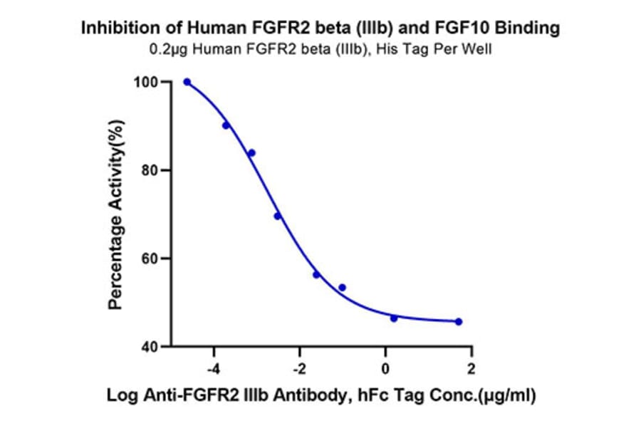 Functional Assay - Recombinant Human FGFR2 Protein (C-terminal His Tag) (A330643) - Antibodies.com