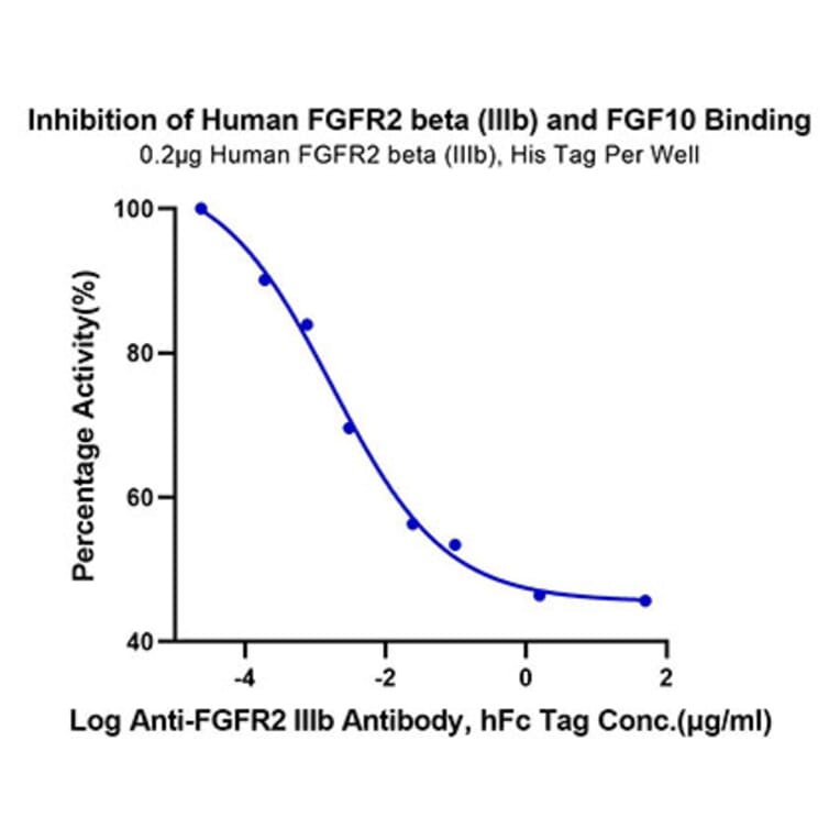 Functional Assay - Recombinant Human FGFR2 Protein (C-terminal His Tag) (A330643) - Antibodies.com