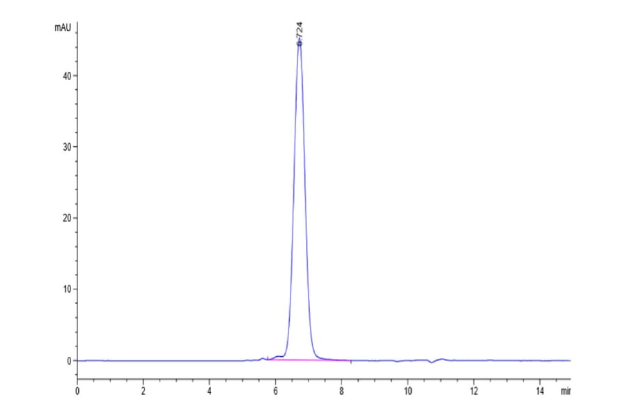 SEC-HPLC - Recombinant Human FGFR3 Protein (Biotin) (C-terminal His and Avi Tag) (A330645) - Antibodies.com