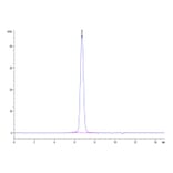 SEC-HPLC - Recombinant Human FGFR3 Protein (Biotin) (C-terminal His and Avi Tag) (A330645) - Antibodies.com