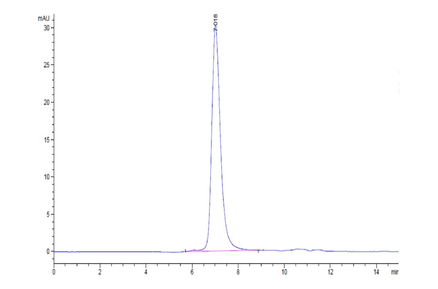 SEC-HPLC - Recombinant Human FGFR3 Protein (Biotin) (C-terminal His and Avi Tag) (A330646) - Antibodies.com