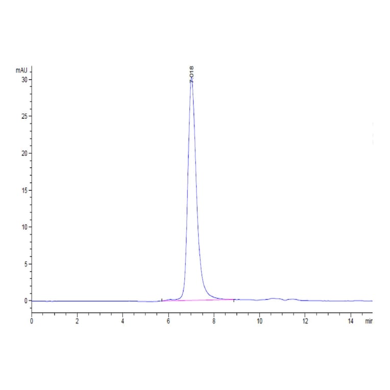 SEC-HPLC - Recombinant Human FGFR3 Protein (Biotin) (C-terminal His and Avi Tag) (A330646) - Antibodies.com