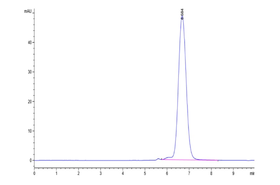 SEC-HPLC - Recombinant Human FGFR3 Protein (C-terminal His and Avi Tag) (A330647) - Antibodies.com