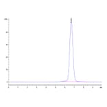 SEC-HPLC - Recombinant Human FGFR3 Protein (C-terminal His and Avi Tag) (A330647) - Antibodies.com