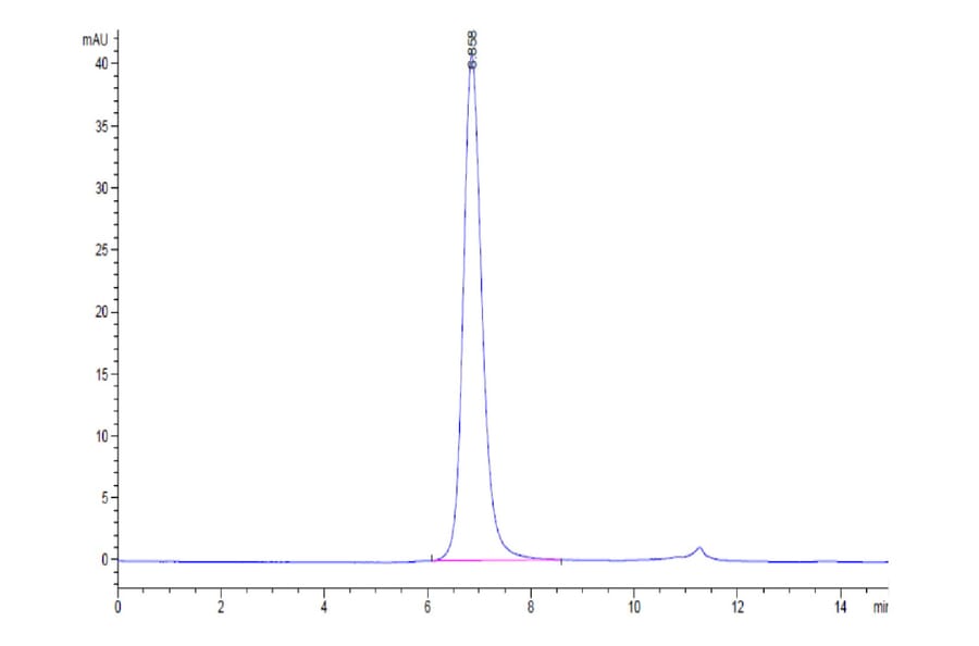 SEC-HPLC - Recombinant Human FGFR3 Protein (C-terminal His and Avi Tag) (A330648) - Antibodies.com