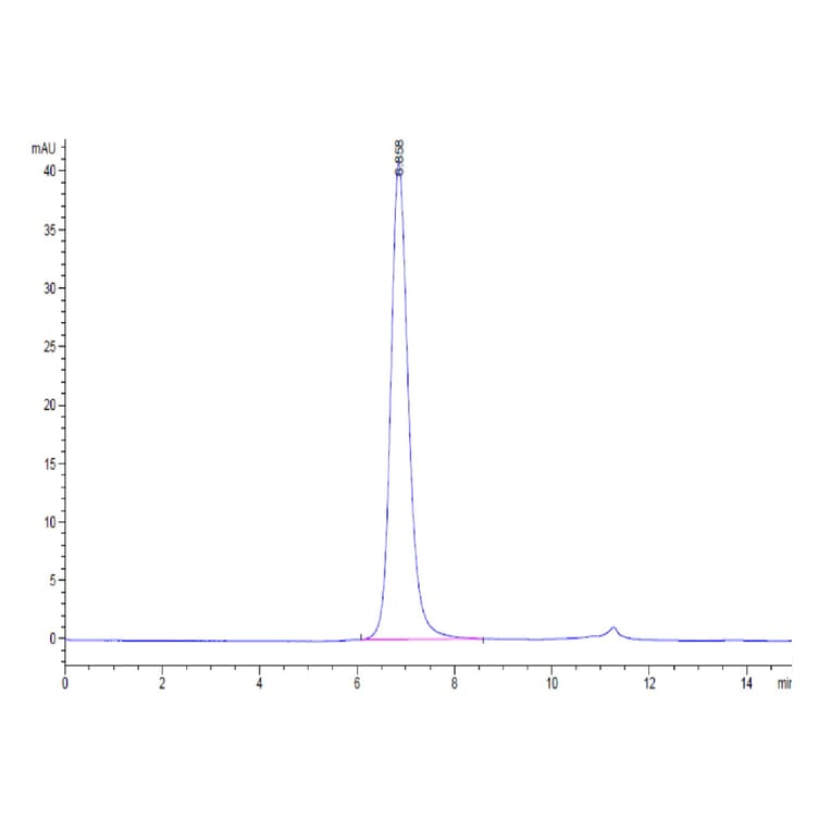 SEC-HPLC - Recombinant Human FGFR3 Protein (C-terminal His and Avi Tag) (A330648) - Antibodies.com