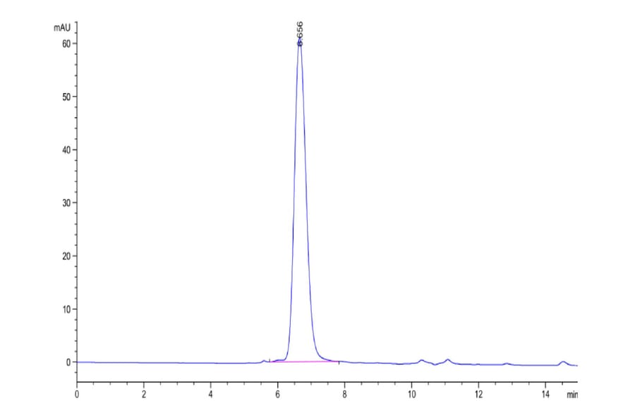 SEC-HPLC - Recombinant Human FGFR3 Protein (Biotin) (C-terminal His and Avi Tag) (A330649) - Antibodies.com