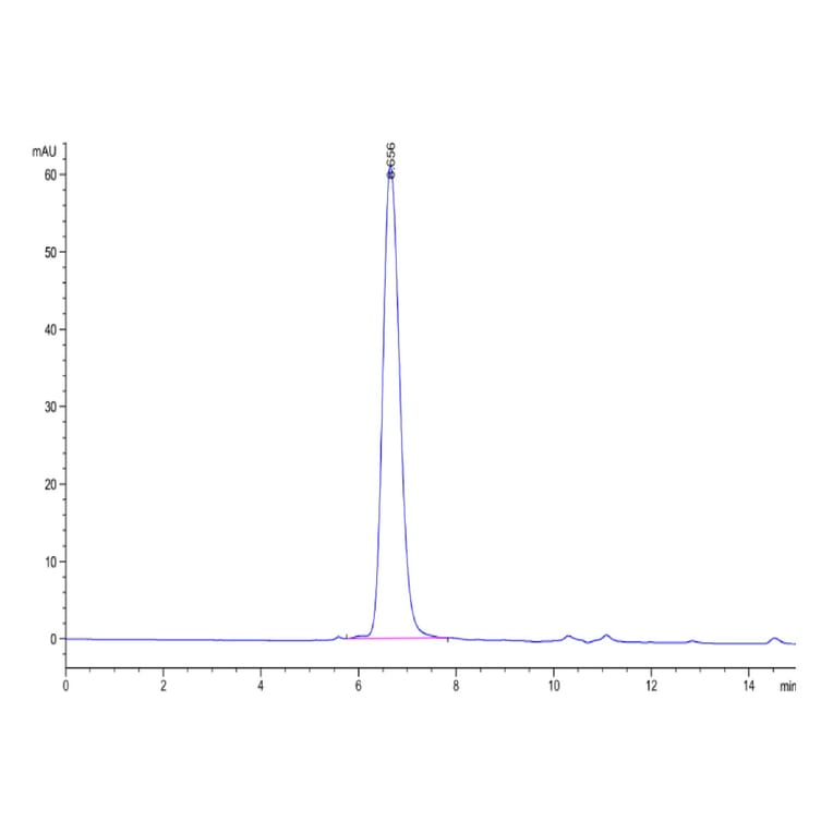 SEC-HPLC - Recombinant Human FGFR3 Protein (Biotin) (C-terminal His and Avi Tag) (A330649) - Antibodies.com