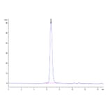 SEC-HPLC - Recombinant Human FGFR3 Protein (Biotin) (C-terminal His and Avi Tag) (A330649) - Antibodies.com