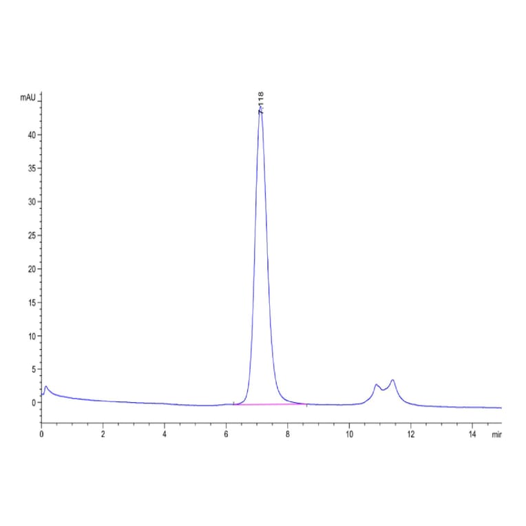 SEC-HPLC - Recombinant Human FGFR3 Protein (Biotin) (C-terminal His and Avi Tag) (A330650) - Antibodies.com