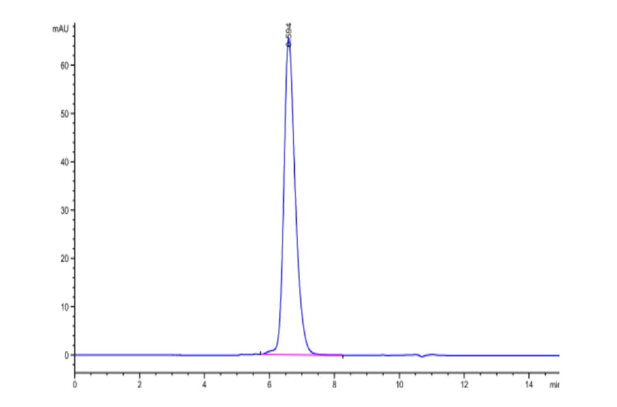 SEC-HPLC - Recombinant Human FGFR3 Protein (C-terminal His and Avi Tag) (A330651) - Antibodies.com