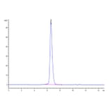 SEC-HPLC - Recombinant Human FGFR3 Protein (C-terminal His and Avi Tag) (A330651) - Antibodies.com