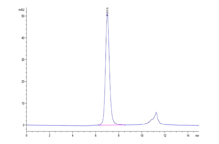 SEC-HPLC - Recombinant Human FGFR3 Protein (C-terminal His and Avi Tag) (A330652) - Antibodies.com
