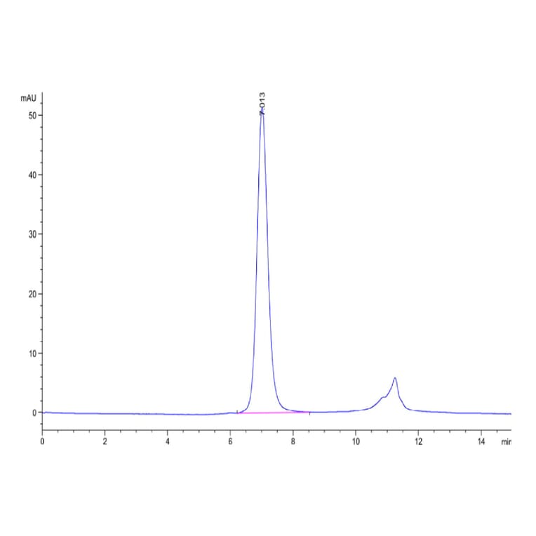 SEC-HPLC - Recombinant Human FGFR3 Protein (C-terminal His and Avi Tag) (A330652) - Antibodies.com