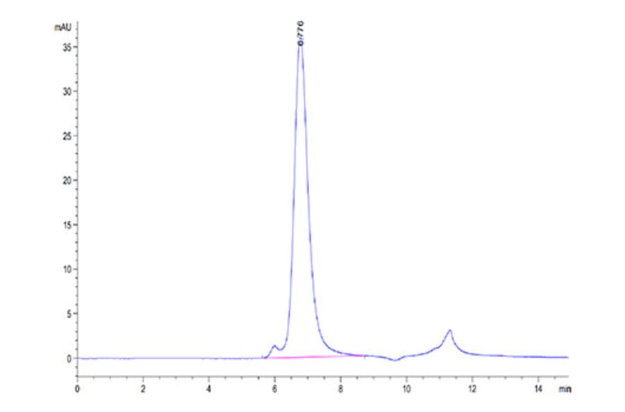 SEC-HPLC - Recombinant Human FGFR4 Protein (Biotin) (C-terminal His and Avi Tag) (A330654) - Antibodies.com