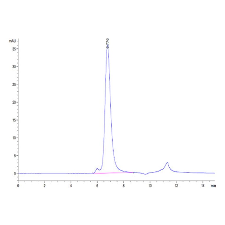 SEC-HPLC - Recombinant Human FGFR4 Protein (Biotin) (C-terminal His and Avi Tag) (A330654) - Antibodies.com
