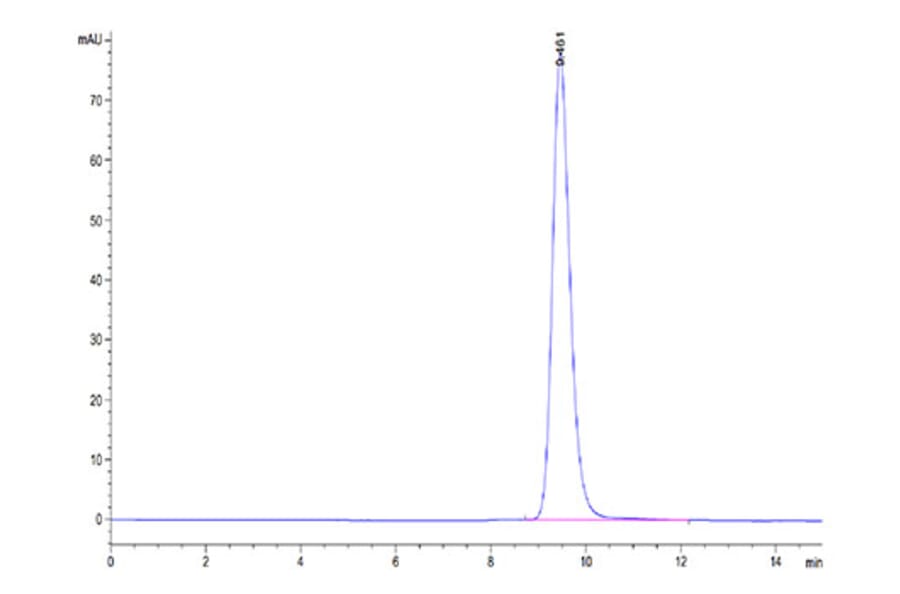 SEC-HPLC - Recombinant Human FOLR2 Protein (C-terminal His Tag) (A330669) - Antibodies.com