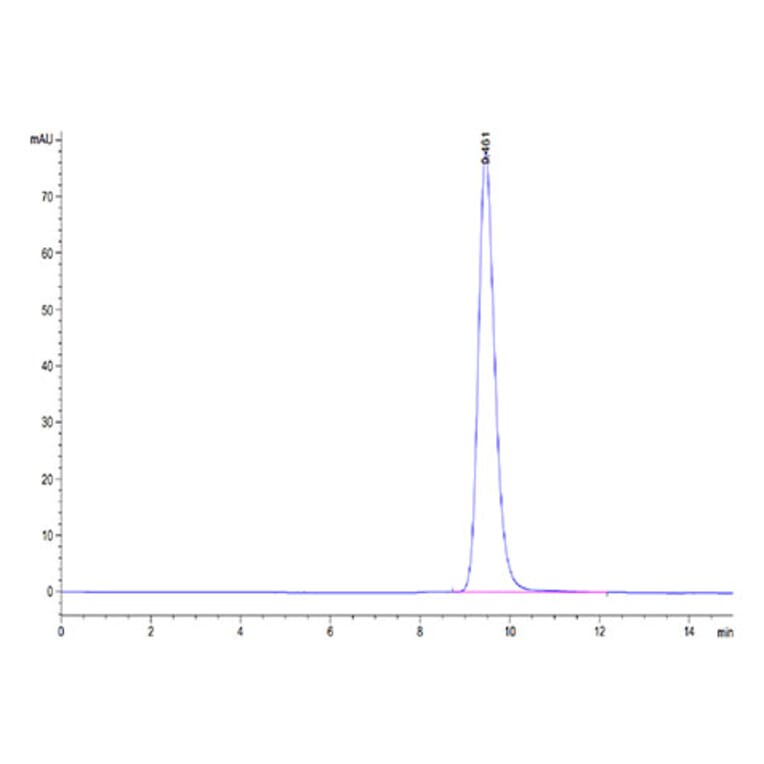SEC-HPLC - Recombinant Human FOLR2 Protein (C-terminal His Tag) (A330669) - Antibodies.com