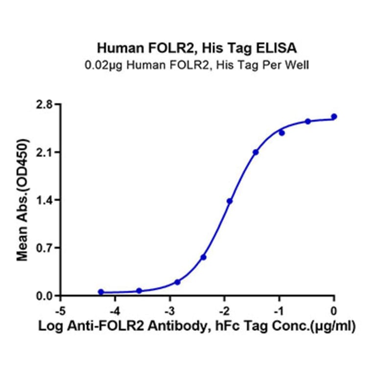 Standard Curve - Recombinant Human FOLR2 Protein (C-terminal His Tag) (A330669) - Antibodies.com