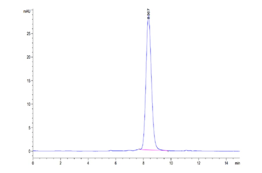 SEC-HPLC - Recombinant Mouse FSH beta Protein (C-terminal Human Fc Tag) (A330676) - Antibodies.com