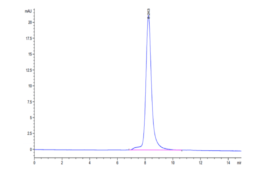 SEC-HPLC - Recombinant Human FSTL1 Protein (C-terminal His Tag) (A330678) - Antibodies.com