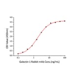 Standard Curve - Recombinant Human Galectin 1 Protein (A330681) - Antibodies.com