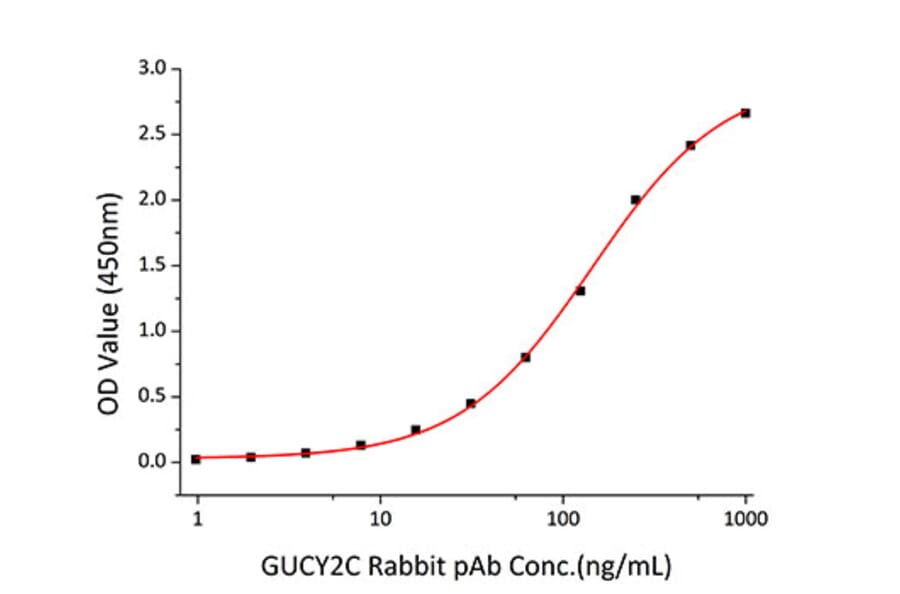 Standard Curve - Recombinant Human GC-C Protein (C-terminal His and Avi Tag) (A330687) - Antibodies.com